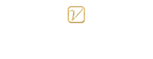 Vanessa_Nicole_Logo_WHITE-81058